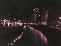 本年も大変お世話になりました。