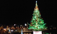 ついにお出でなすった