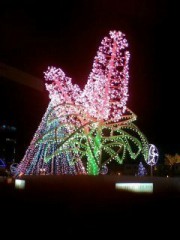 被害なしだけど･･･