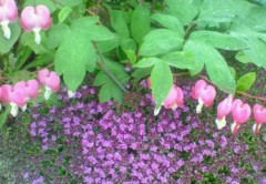 【お題日記】2018年あけましてのご挨拶♪