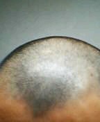 髪を切りました。