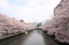【お題日記】春と聞くと何を思い浮かべますか？
