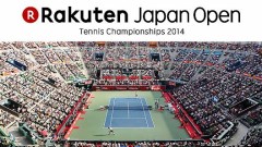 【お題日記】スポーツ観戦行ったことある？