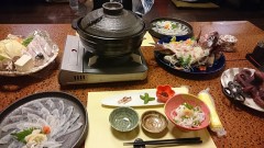 恋人とくろ助の日間賀島でフグを食べようー！