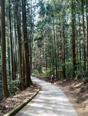 ダイエットがしたい…。