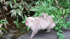 上高地にいってきた