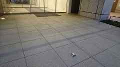 おにぎりが出勤します。