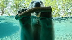 【お題日記】今日は「バイト」の日！初めてのバイトは？