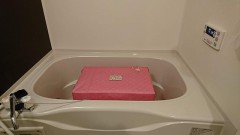 【お題日記】今使ってる一番高価な家電は何？