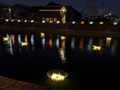 半田ほとり酒場はっこうnight