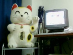 突然ですが！！