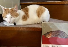 コロナニートで趣味が上達！