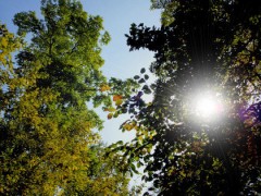 過ぎてしまった時間。。。