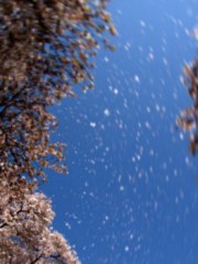 【お題日記】恋人につけてほしい香水はありますか？