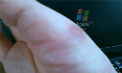 元気に育ってます(^-^")/