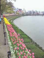 客引きって凄いね＾＾；