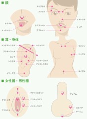 【お題日記】アソコのピアスってどう思う？