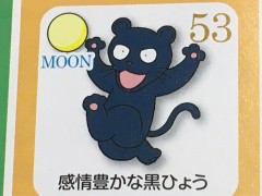 【お題日記】動物占い信じてる？