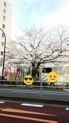 【お題日記】Hの最中相手のどこを見てる？