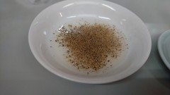 【お題日記】餃子食べる時何につけてる？