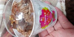 【お題日記】Hの前は何食べてる？