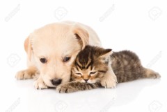 【お題日記】Hと1人Hどっちが好き？