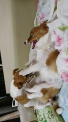 いやー！そこはダメー！！