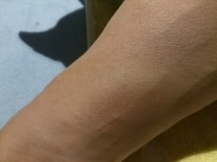 すこしだけ、延期することにしました。