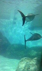 水族館