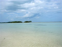 最愛のマイフレンドへの言葉