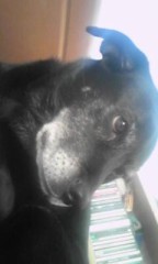 おはようございます☆