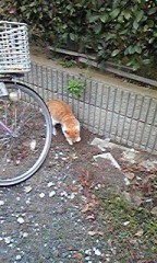 完封負け。。。