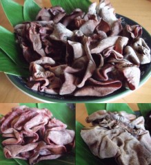 これ何かわかる？