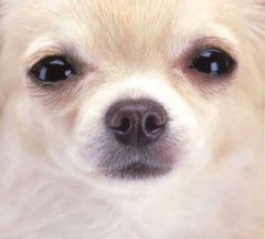 【お題日記】Hの時のどんなことに愛情を感じる？