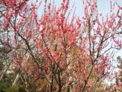 作りすぎた～^^;