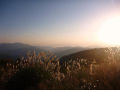 すっかり～秋だね！