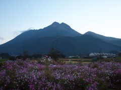 秋を感じに～！