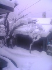 やっと、雪溶けたのに…