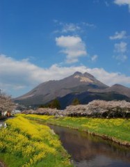 春～近いぃっ～？