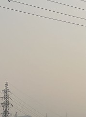 【お題日記】AV検索する時の検索ワードは何？