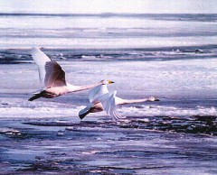 。。。小っちぇ～ｗ