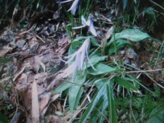 。。。ちと溜まっちゃいましたねｗ