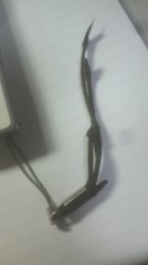 フェイクじゃないその言葉