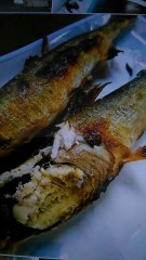 関市洞戸村に来ましたね～