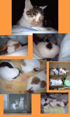 寒い…でも暖かい