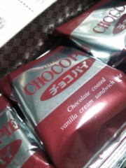 【お題日記】買ってから後悔した物