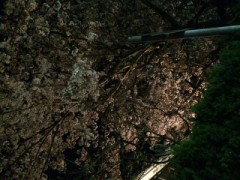 粋