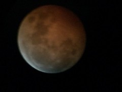 赤銅色をした月に想ふ