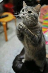 【お題日記】これまでの失敗や後悔を懺悔！