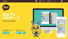 転ばぬ先の杖